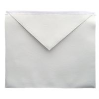 ENTERED APPRENTICE BLUE LODGE APRON - WHITE