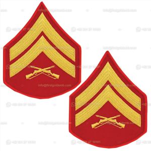Gold Embriodery Chevron